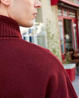 Pull col roulé bordeaux Faume - seconde main